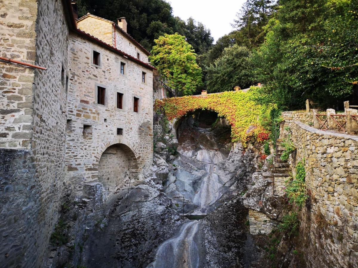 Borgo Il Melone Hotel Cortona Luaran gambar